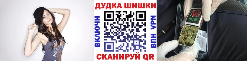 Все наркотики Елизово COCAIN Мефедрон Амфетамин Псилоцибиновые грибы APVP Гашиш