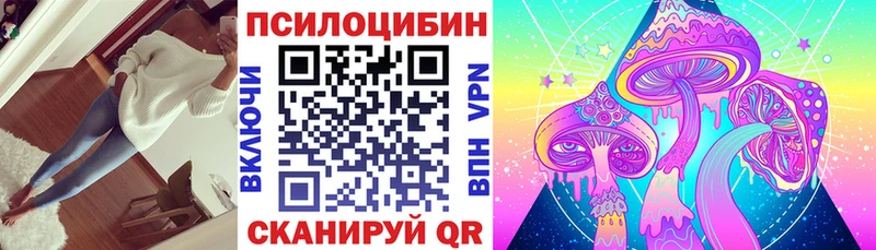 Псилоцибиновые грибы мицелий  как найти наркотики  Елизово 